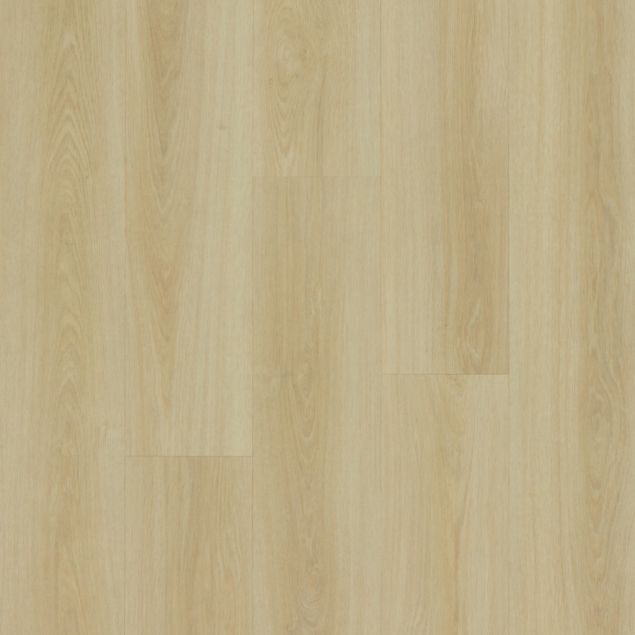 Kiri Saba Dryback 